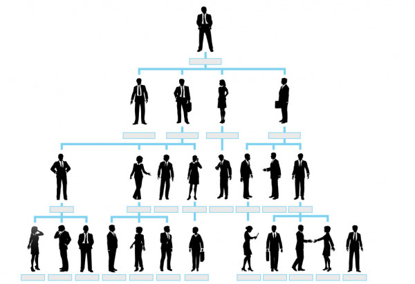 Organizasyon Şeması